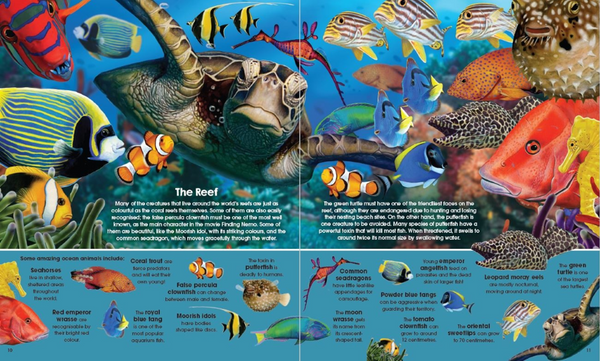 Sea Animals Book and Jigsaw