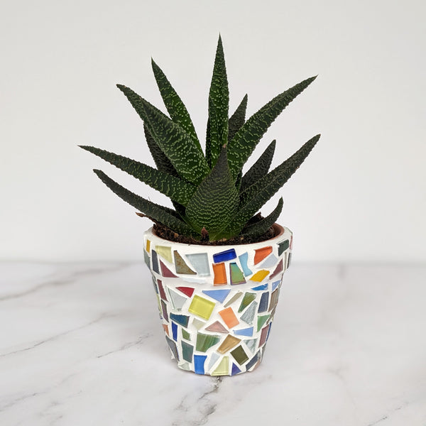 Mosaic Garden Planter Kit