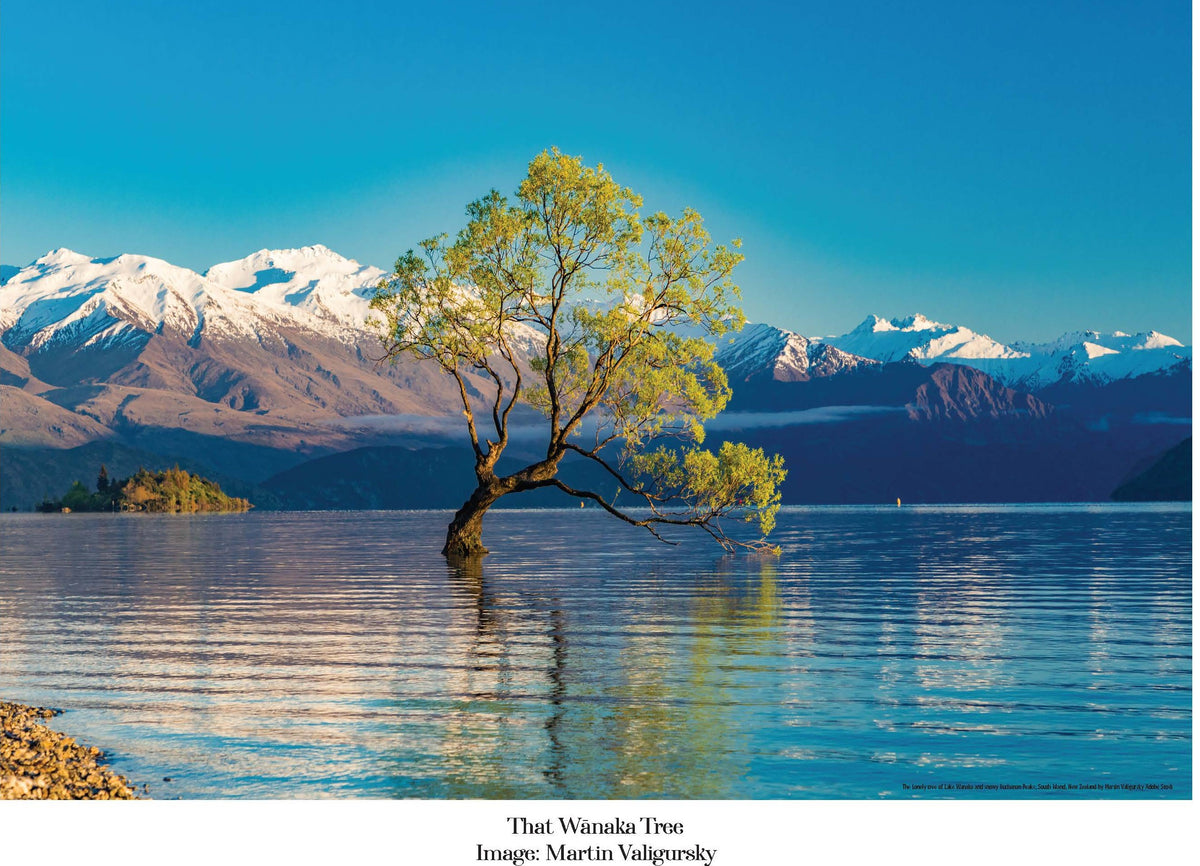 100 Piece Jigsaw New Zealand - That Wanaka Tree