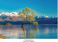 100 Piece Jigsaw New Zealand - That Wanaka Tree