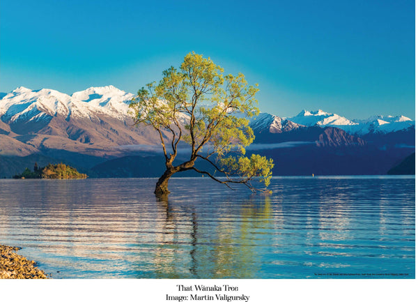 100 Piece Jigsaw New Zealand - That Wanaka Tree PREORDER AVAILABLE LATE JANUARY
