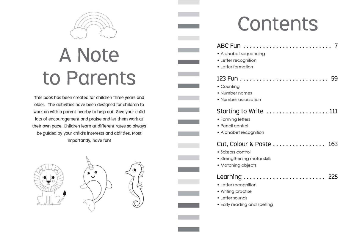 Little Genius  Jumbo Workbook - Preschool