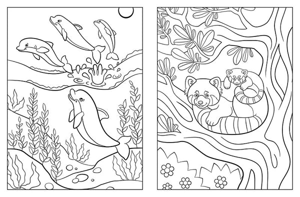 Cute Animals 1000 Stickers & Colour