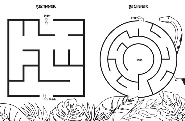 Colouring and Mazes Dinosaur