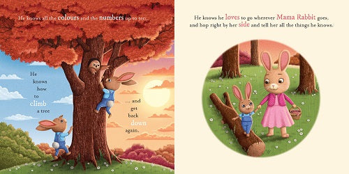 Do You Know How Much I Love You Padded Storytime