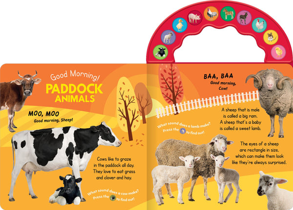 10 Button Carry Along Sound Book  Good Morning On the Farm