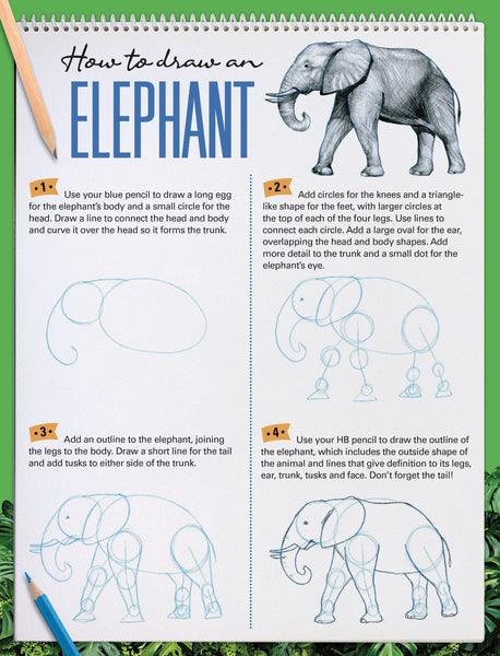 How To Draw Animals Garry Fleming Activity Kit