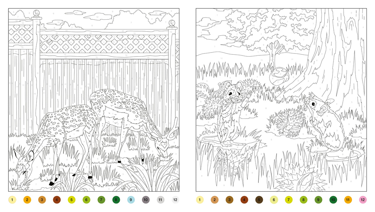 Enchanted Garden Activity