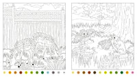 Enchanted Garden Activity