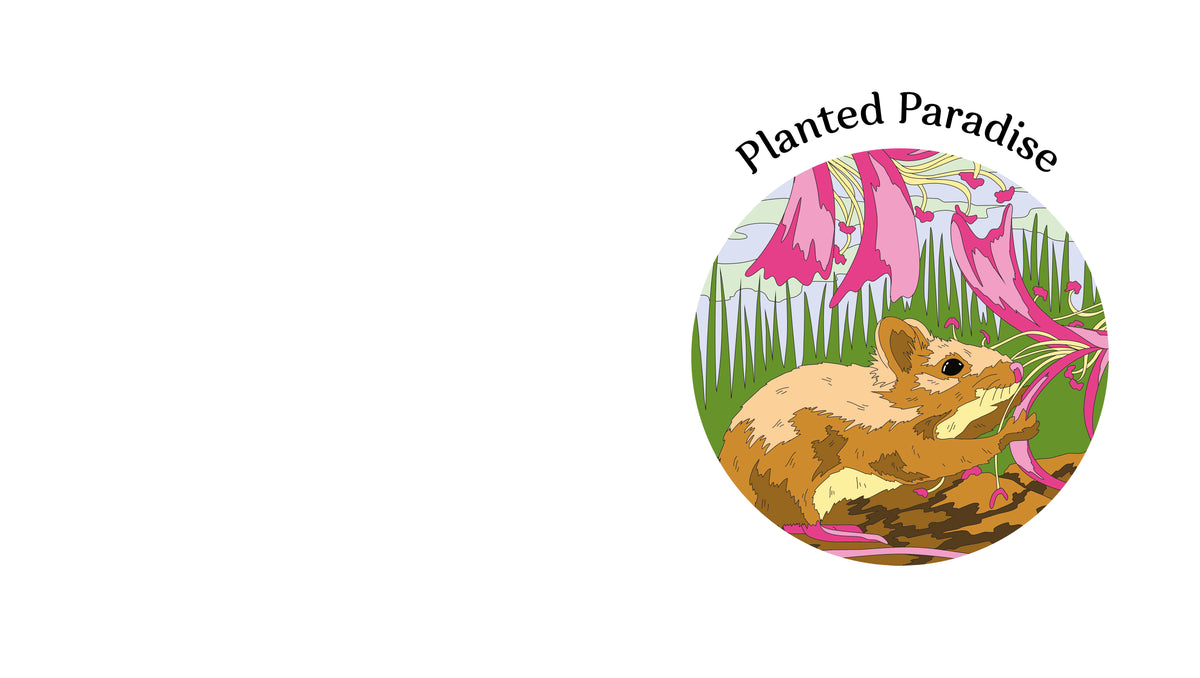 Enchanted Garden Activity