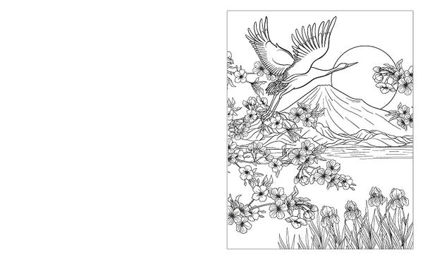 The Birds Colouring Book