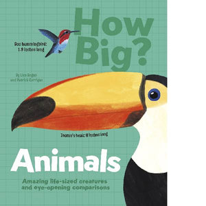 How Big - Animals