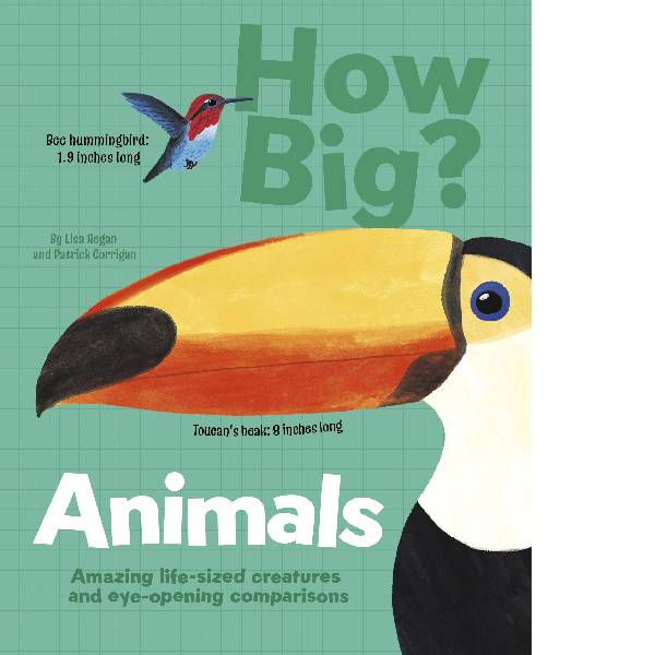 How Big  Animals