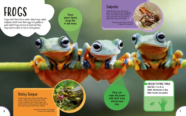 Children's First Encyclopedia