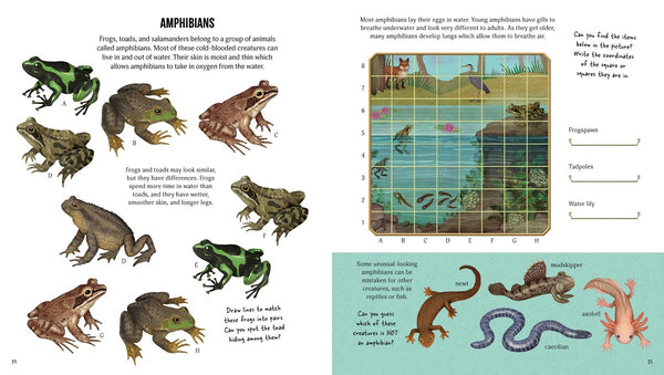 Museum of Marvels  Animal Activity Book