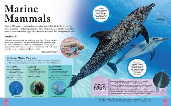 The Ocean Book