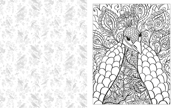 Birds and Butterflies Colouring Book