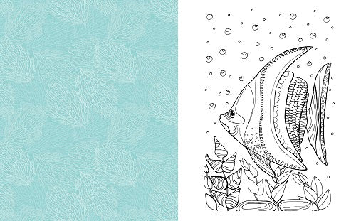 Sea Life Colouring Book