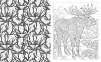 The Wild Animals Colouring Book