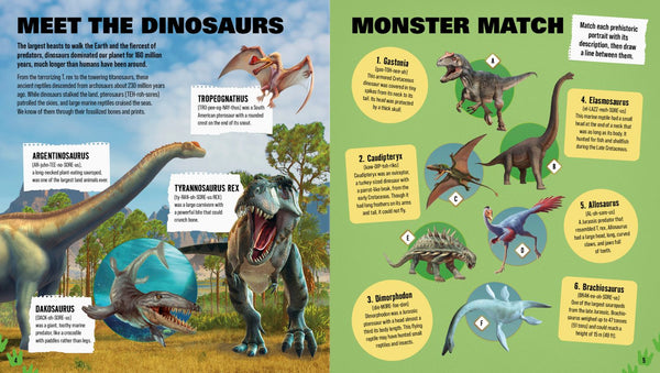 Dinosaur Activity Book