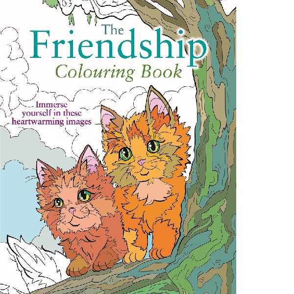 The Friendship Colouring Book