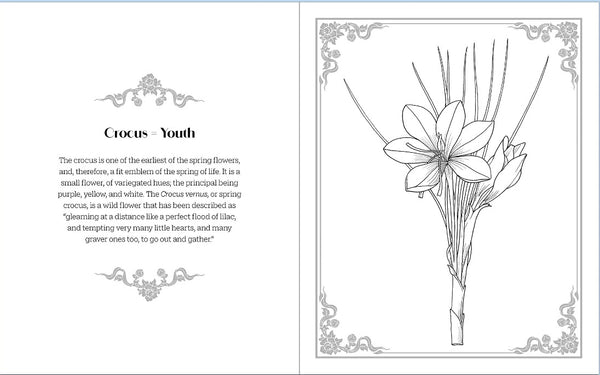Language of Flowers Colouring Book