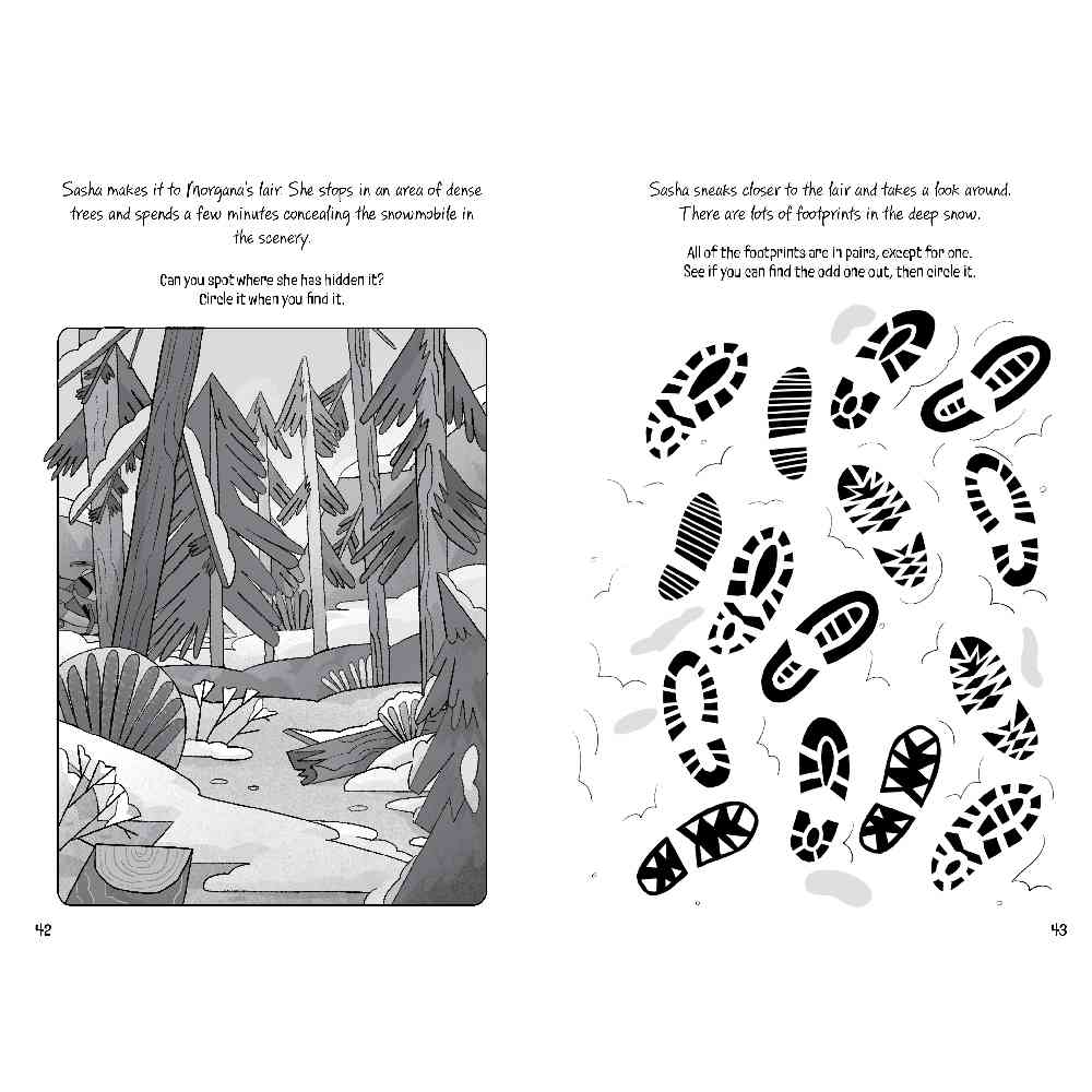 Puzzle Adventures Spy Quest