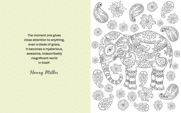 The Stress Free Colouring Book  - Preorder Due End December