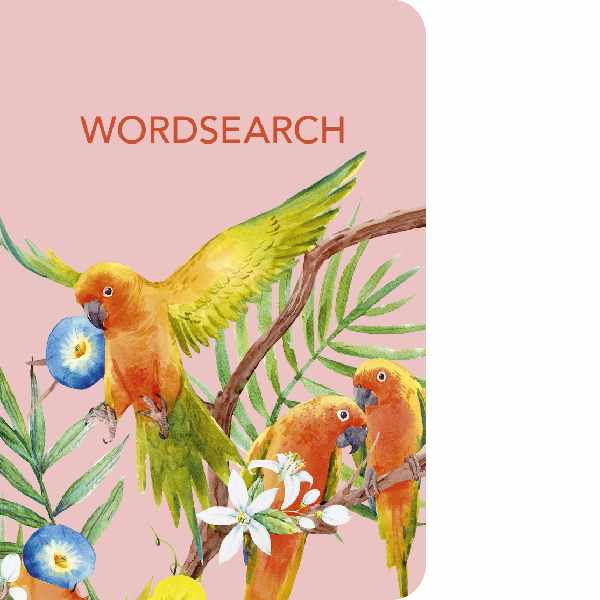 Wordsearch 160pg