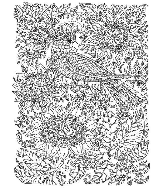 The Beautiful Blooms Colouring Book  Preorder Due End December