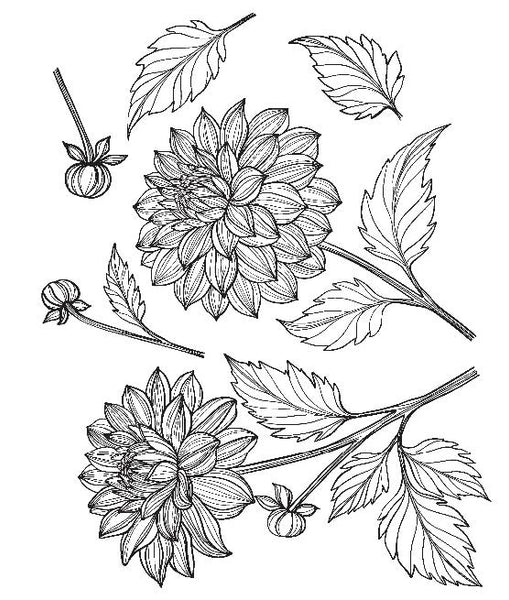 The Beautiful Blooms Colouring Book  Preorder Due End December