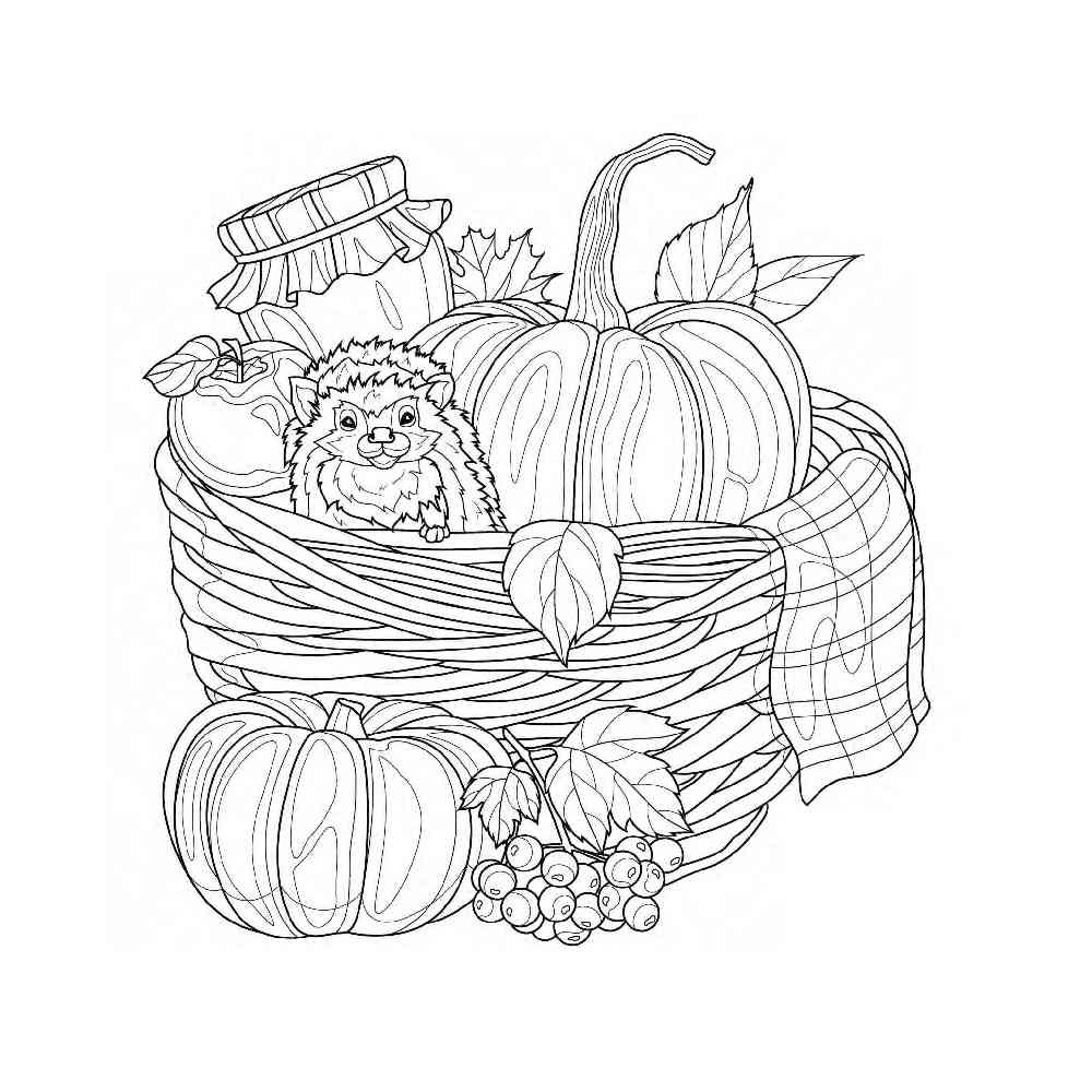 Cute Animals Colouring Book