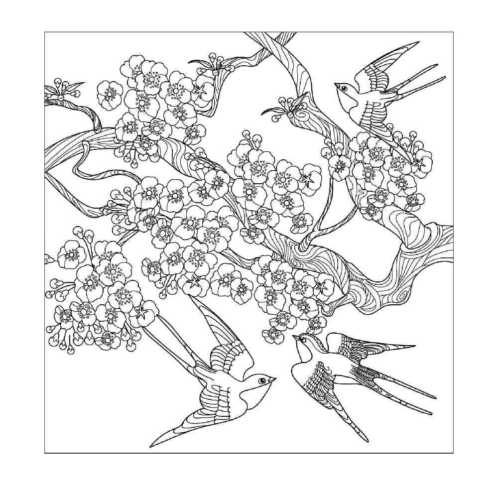 Beautiful Flowers Colouring Book