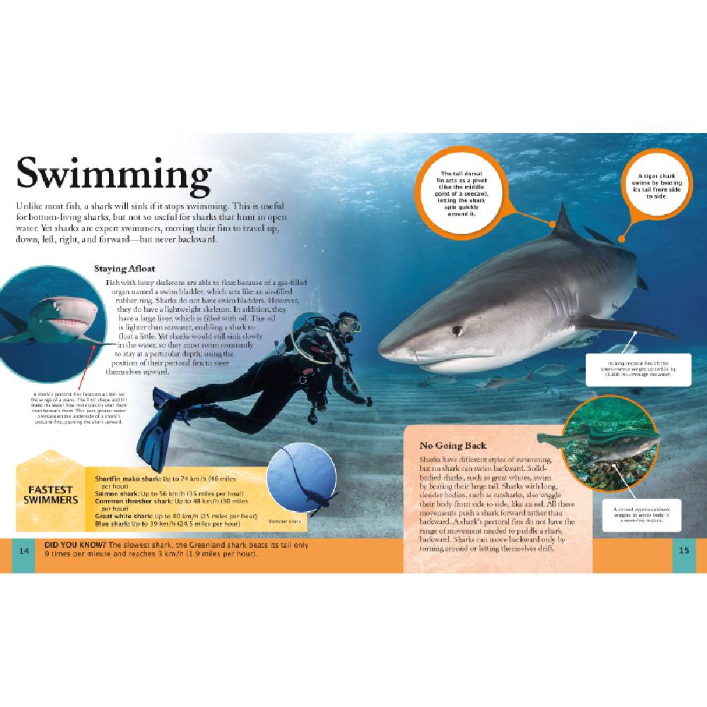 The Shark Book
