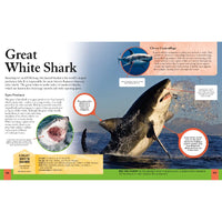 The Shark Book