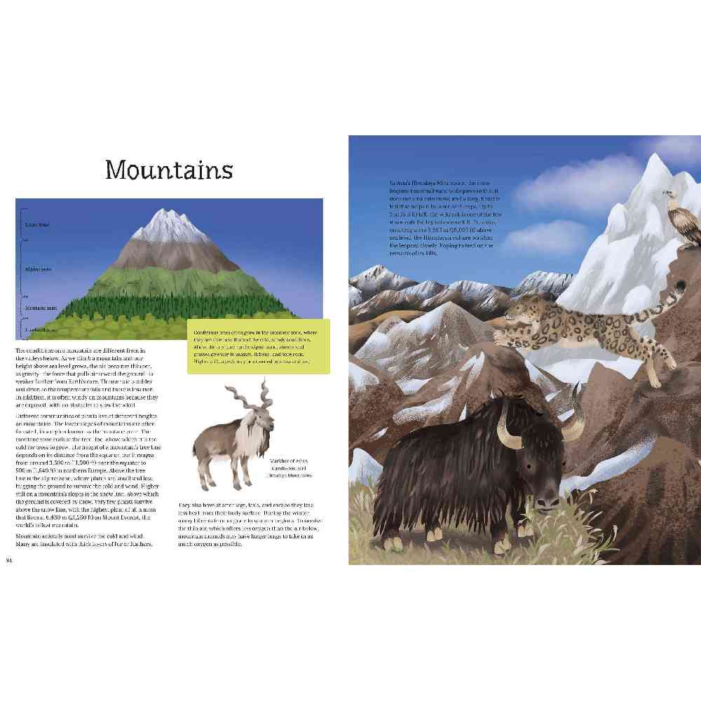 Ultimate Animal Fact and Quiz Book