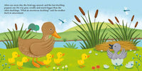 The Ugly Duckling