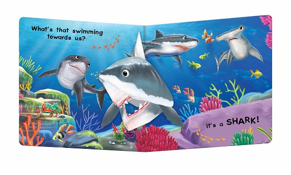 Ocean Pop Up Board