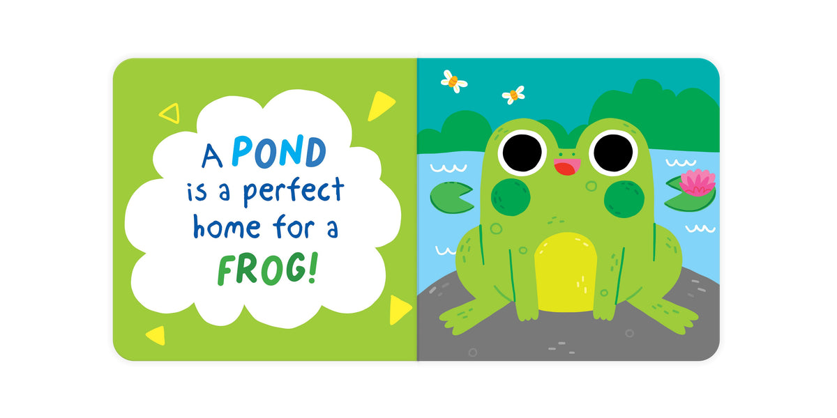 A Home For A Frog Wobbly Eye