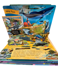 Discover the Ocean Pop Up Board