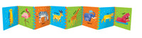 Roar A Tummy Time Fold Out Adventure