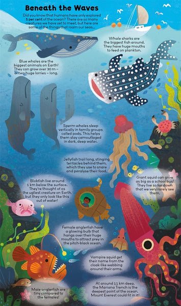 Animals Curiosity Club