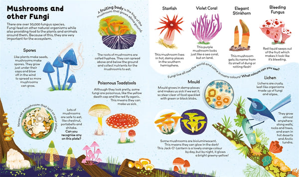 Natural World Curiosity Club
