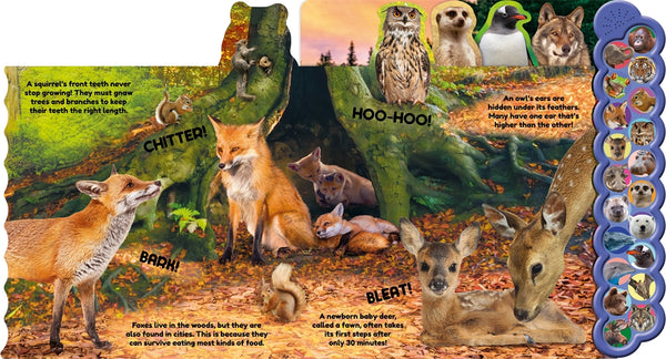 Animals 20 Tabbed Sound Book