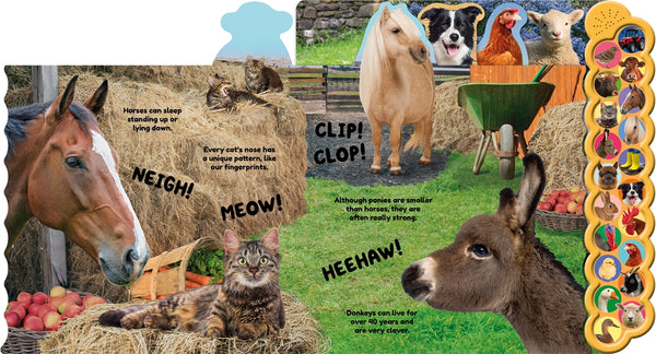 Farm 20 Tabbed Sound Book
