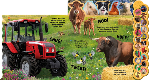 Farm 20 Tabbed Sound Book