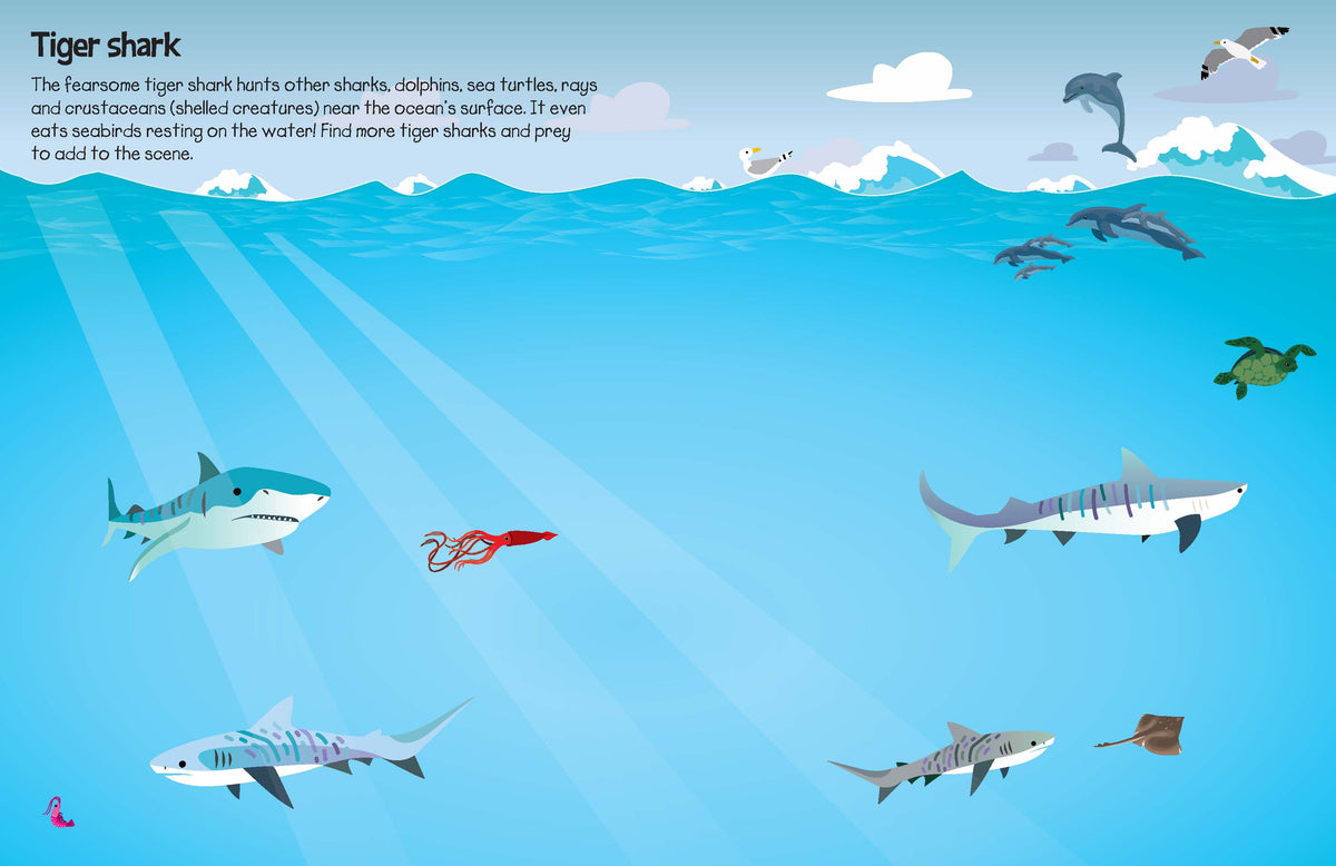 555 Sticker Fun Sharks