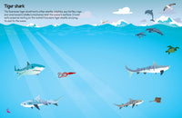 555 Sticker Fun Sharks