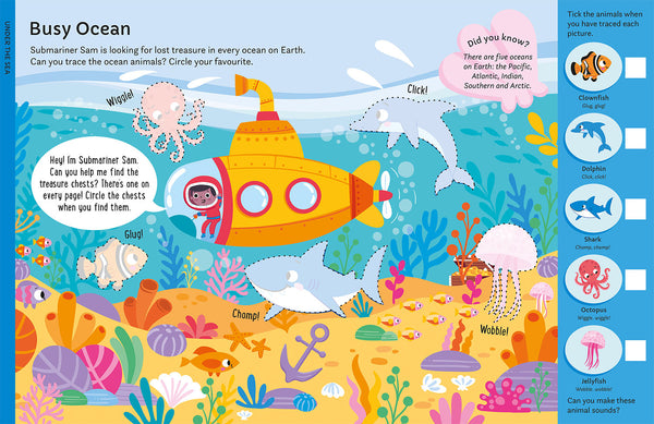Ocean Wipe Clean Activity Fun AVAILABLE 18TH MARCH