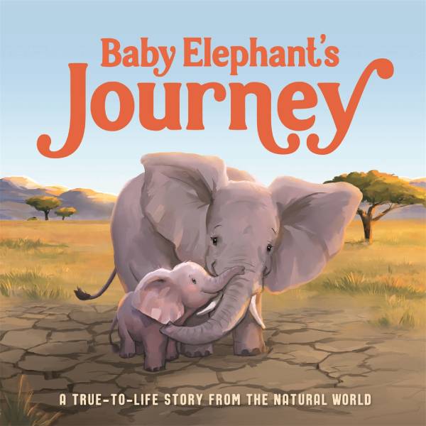 Babys Elephants Journey